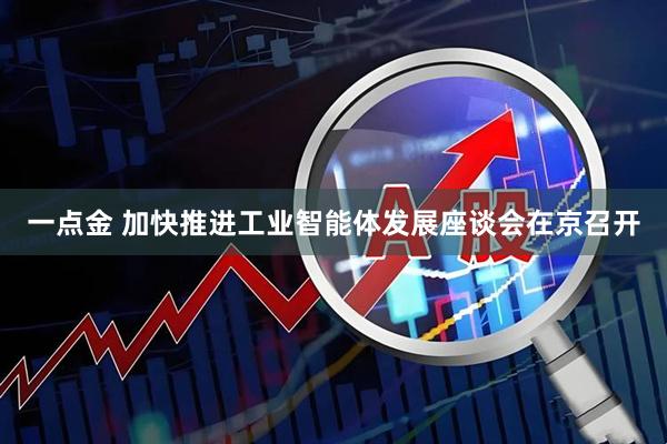 一点金 加快推进工业智能体发展座谈会在京召开