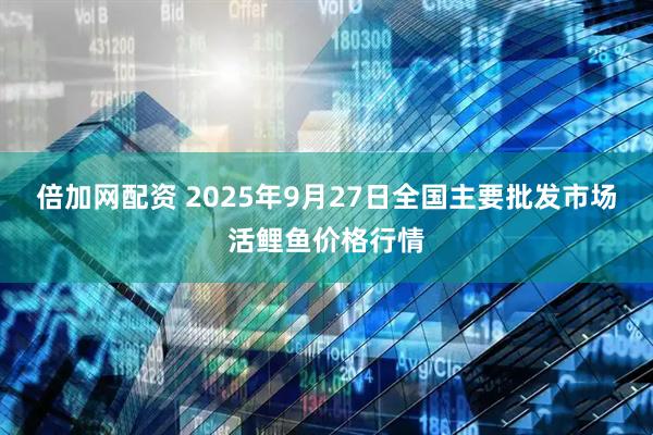 倍加网配资 2025年9月27日全国主要批发市场活鲤鱼价格行情