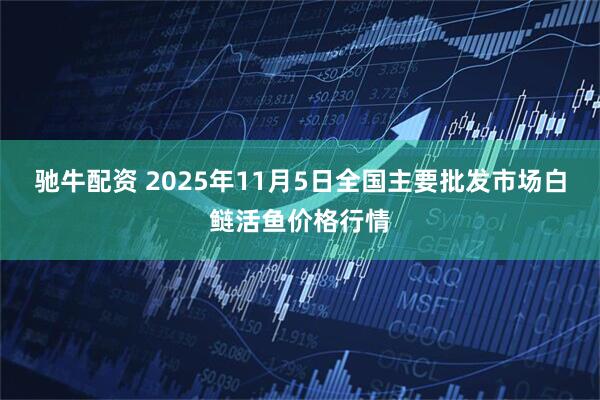 驰牛配资 2025年11月5日全国主要批发市场白鲢活鱼价格行情