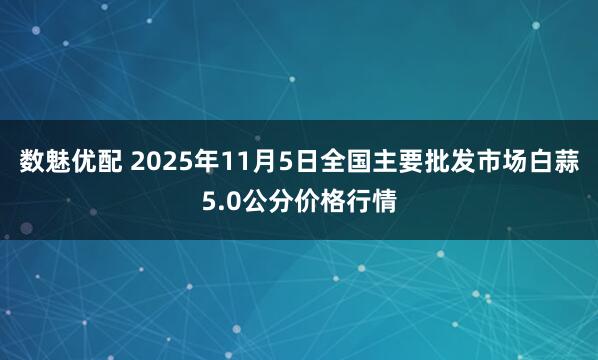 数魅优配 2025年11月5日全国主要批发市场白蒜5.0公分价格行情