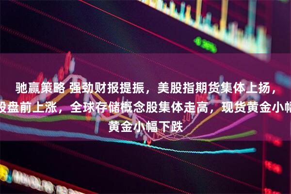驰赢策略 强劲财报提振，美股指期货集体上扬，煤炭股盘前上涨，全球存储概念股集体走高，现货黄金小幅下跌