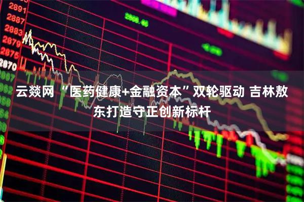云燚网 “医药健康+金融资本”双轮驱动 吉林敖东打造守正创新标杆