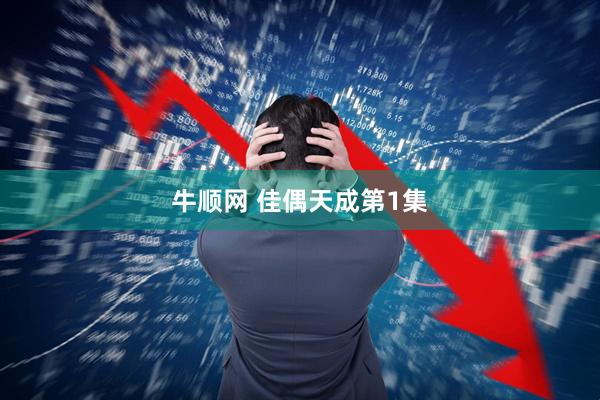 牛顺网 佳偶天成第1集