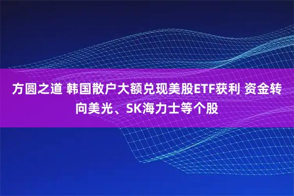 方圆之道 韩国散户大额兑现美股ETF获利 资金转向美光、SK海力士等个股